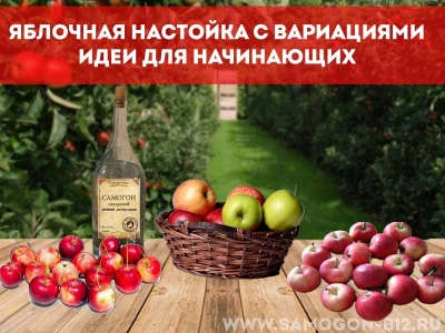 Настойка на яблоках: 5 рецептов на самогоне, водке и спирту